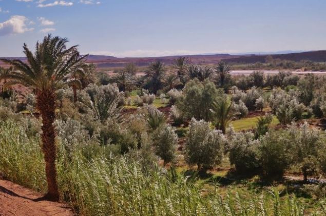 10314763_314280888756823_5737125205783300097_n