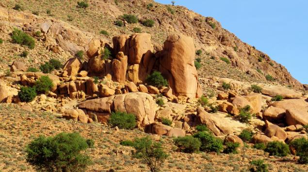 10338520_317356151782630_3516706774109152446_o