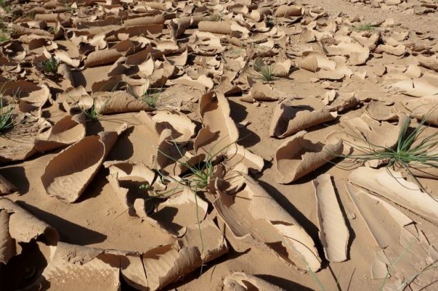 10380271_316281461890099_6519215506920535480_n