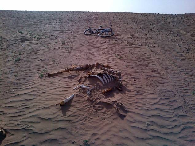 10506895_316284101889835_9069756109761299175_o