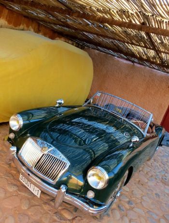 10542025_317793161738929_2542222746496863833_o