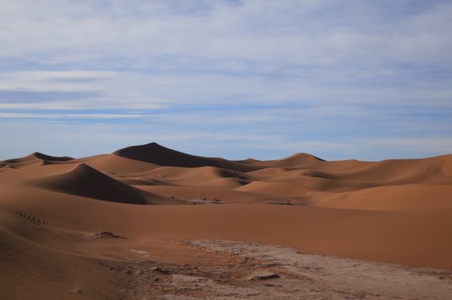 10548765_316496248535287_7851947378066718239_o