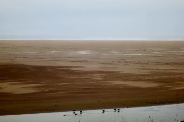 10634037_318151378369774_180177807779872943_o