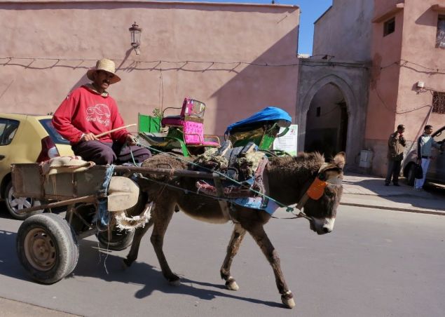 10679903_318895208295391_3966633195220516335_o