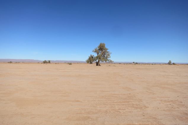 10712662_316496728535239_7472122629952592144_o