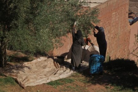 10730800_314280158756896_6953433077866248911_n