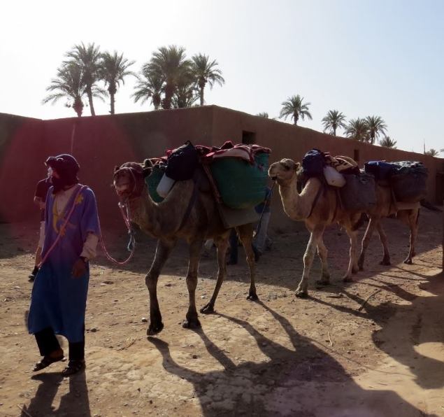 13995_316280168556895_4833887178156426101_n