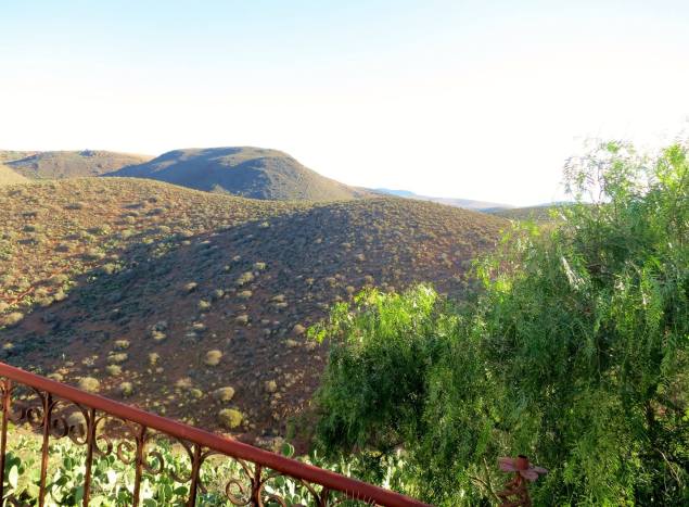 1498723_317792978405614_5595513249622037771_o