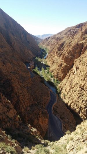 1511257_314798085371770_8043730996012433614_n