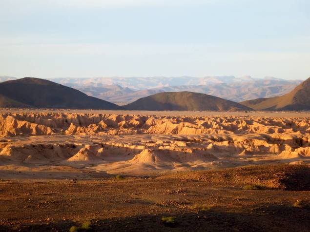 1658356_316499418534970_6404626584169042592_o