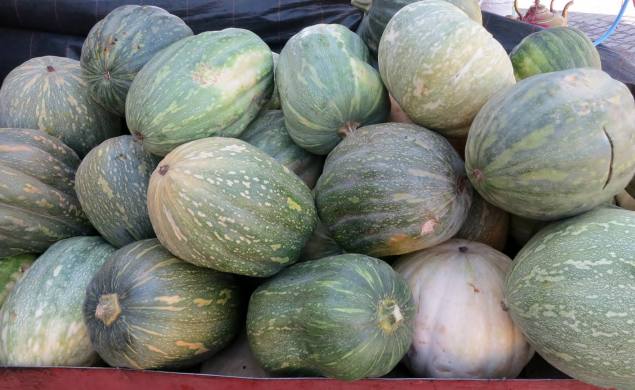 1780175_317354858449426_9039596659456456262_o