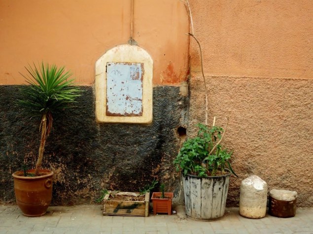 1798893_318894621628783_8364352686507856701_o