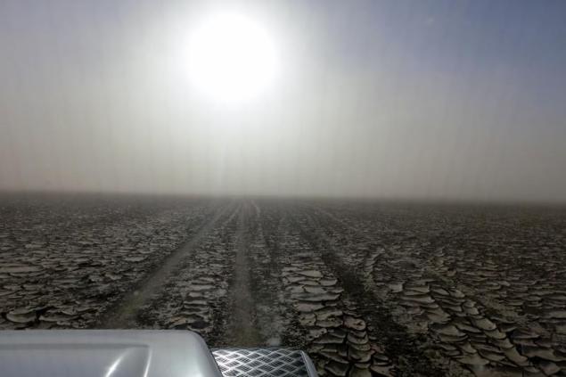 1966811_316283295223249_4613190892904974382_n