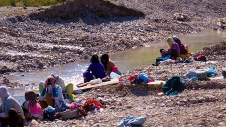 7600_314790628705849_2363259122598208669_n