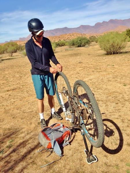 984232_317359955115583_7035631863008135428_n